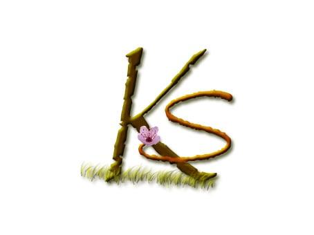 Kneading Serenity Massage and Wellness Center