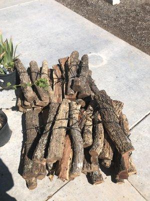 Advanced Tree Clinic