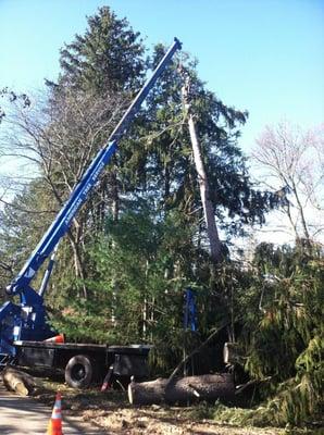 American Tree Service