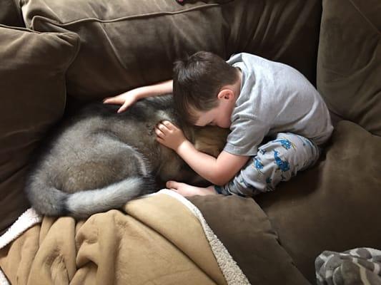 Piper, Snowlion pup and her boy.