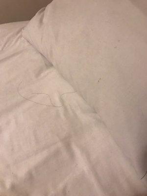 Hair on bed and pillowcases and under sheets. NASTY