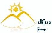 Mellifera Farms