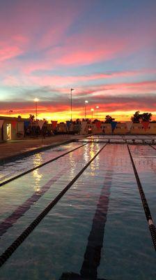 Arizona Swimming Gauchos
