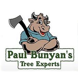 Paul Bunyan's Tree Experts