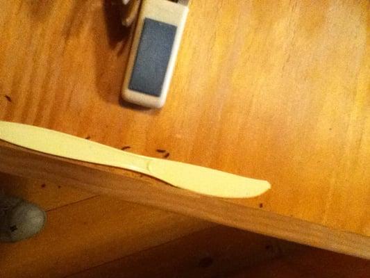 Recreation Rental Properties