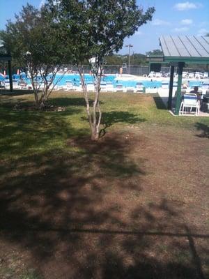 Encino Park Pool 911 Phone