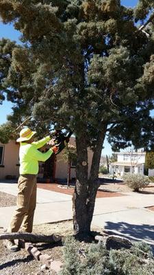 L&L Home & Yard Care