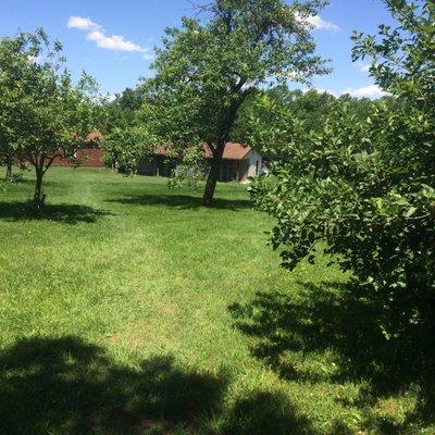 Apple Tree Kennels