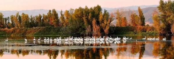 REALTY 360 Wine Country