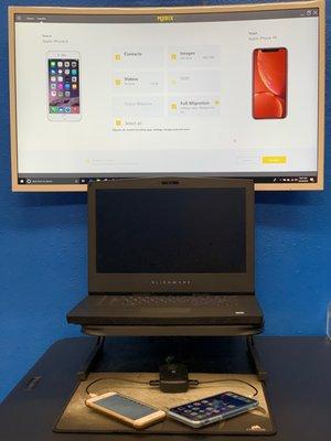 Professional Data transfer