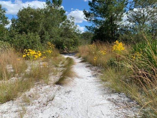 MJ Sandbar Resources