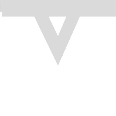Multiverse Studios