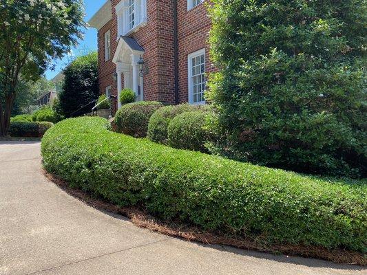 Family First Outdoor Services & Landscaping