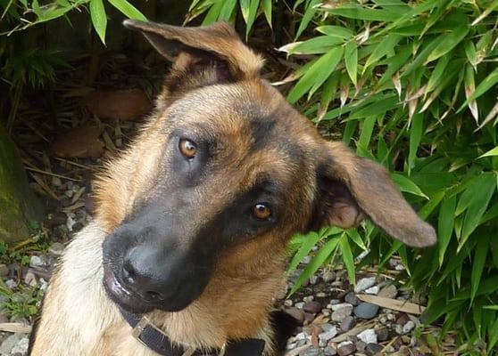 Venus von Shepherd, Vice President: Reception and Security