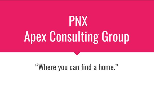 PNX Apex Consulting Group