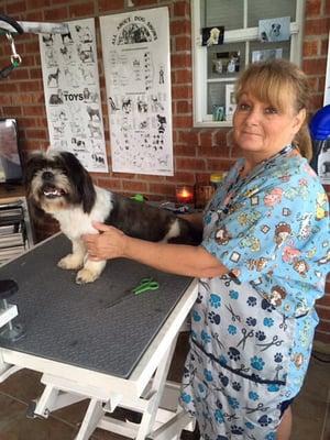 Tammy's Pet Grooming