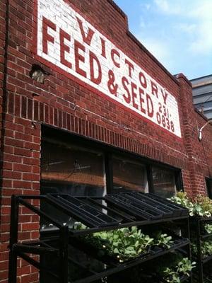 Corner of Victory & Bull