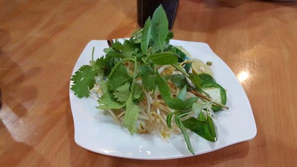 Great Vietnamese Food!