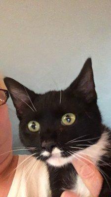 Grundy Animal Hospital