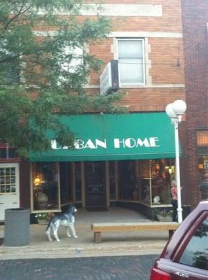Urban Home