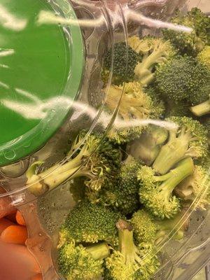 The fresh daily vegetable tray