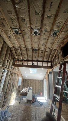 Delfino Insulation Co