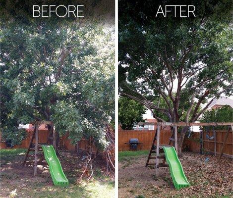 T & S Tree Care