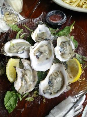 Half dozen oysters