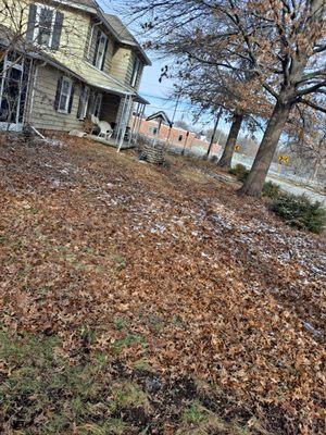 Country Living Lawn and Tree