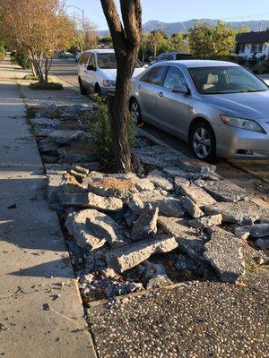 S & H Handyman Services