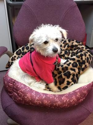 Bay Cities Tool & Supply