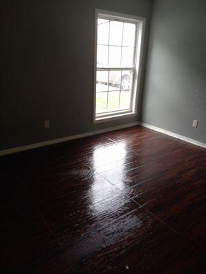 Divine Timing Cleaning Service