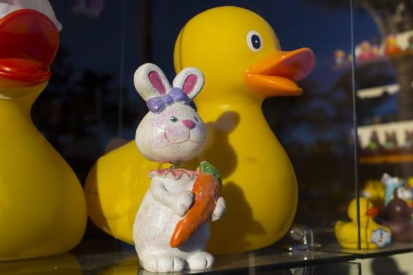 They have a great selection of rubber duckies!