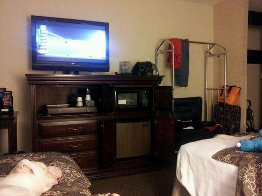 The microwave & fridge r hidden nicely & love the tv! Really impressed!