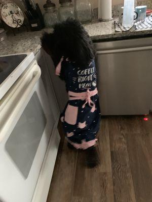 DNA house and office cleaning