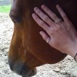 Equine therapy offered as a unique option where appropriate.