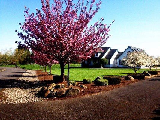 Frank Lopez & Sons Landscaping, Garden and Maintenance