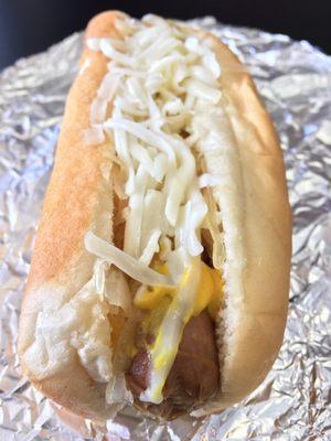 Regular new Kansas dog.