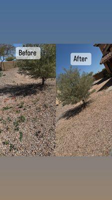 El Guero Landscaping