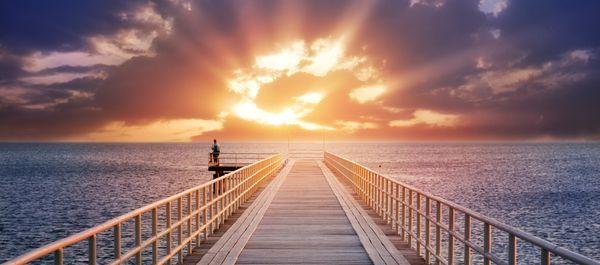 Angelica Ayala, Marriage & Family Therapist