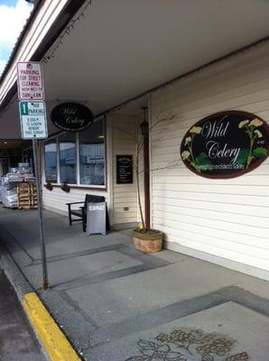 Wild Celery