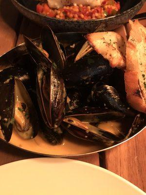 Mussels