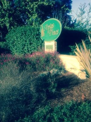 Aptos Pines Homeowners Association