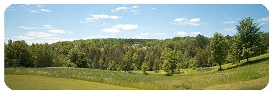 Searfoss Developments