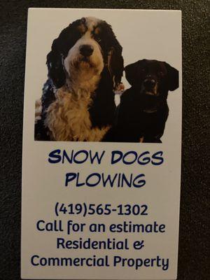 Snow Dogs Plowing