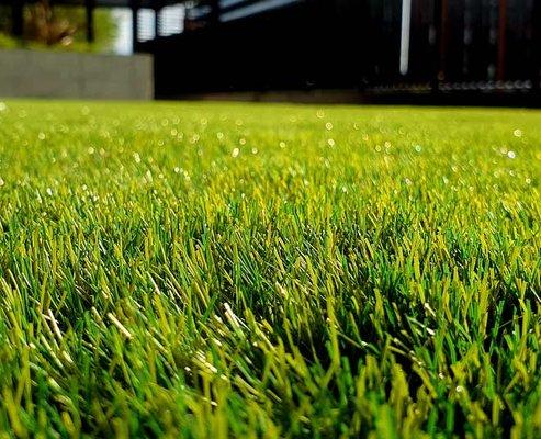Epperson Lawn and Landscape