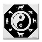 4 Paws Acupuncture Logo