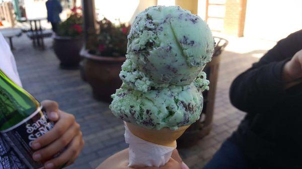 Mint chocolate chip Ice cream, yumm!!