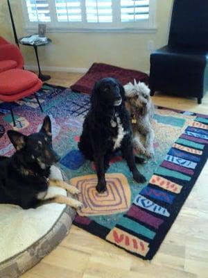 Old Mill Pet Retreat