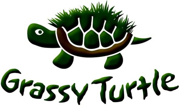 Grassy Turtle